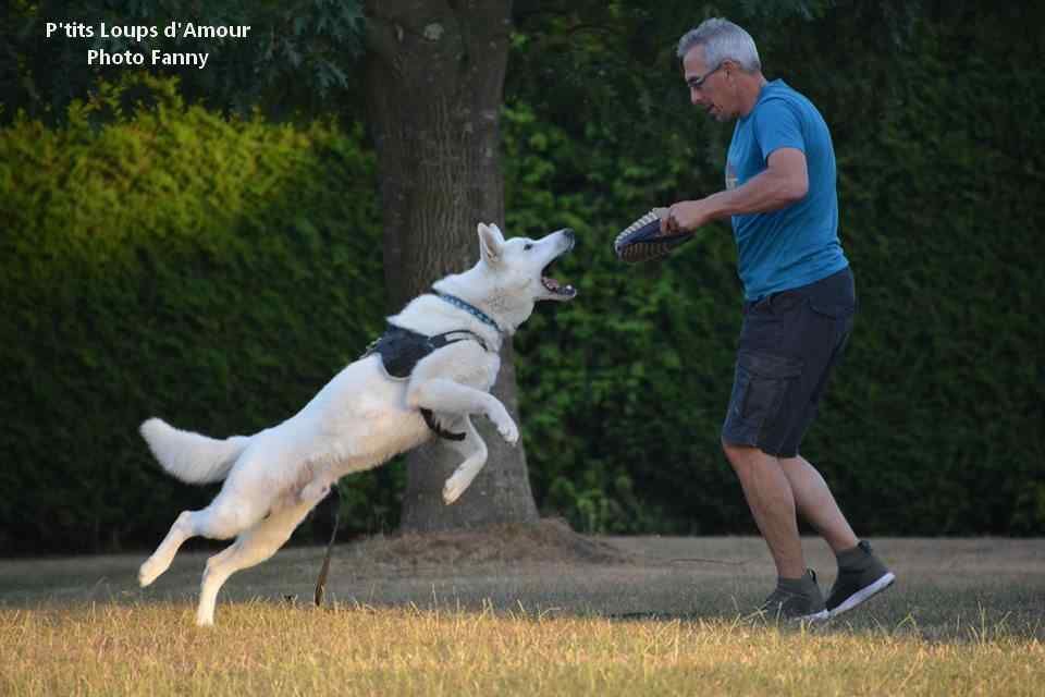 P'tits Loups d'Amour - Quito à l'expo de Lommel 2019