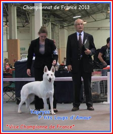 P'tits Loups d'Amour - Saillie