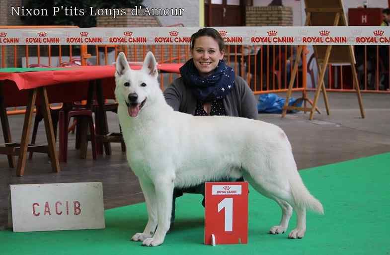 P'tits Loups d'Amour - Résultat de Nixon Expo Mouscron 2019