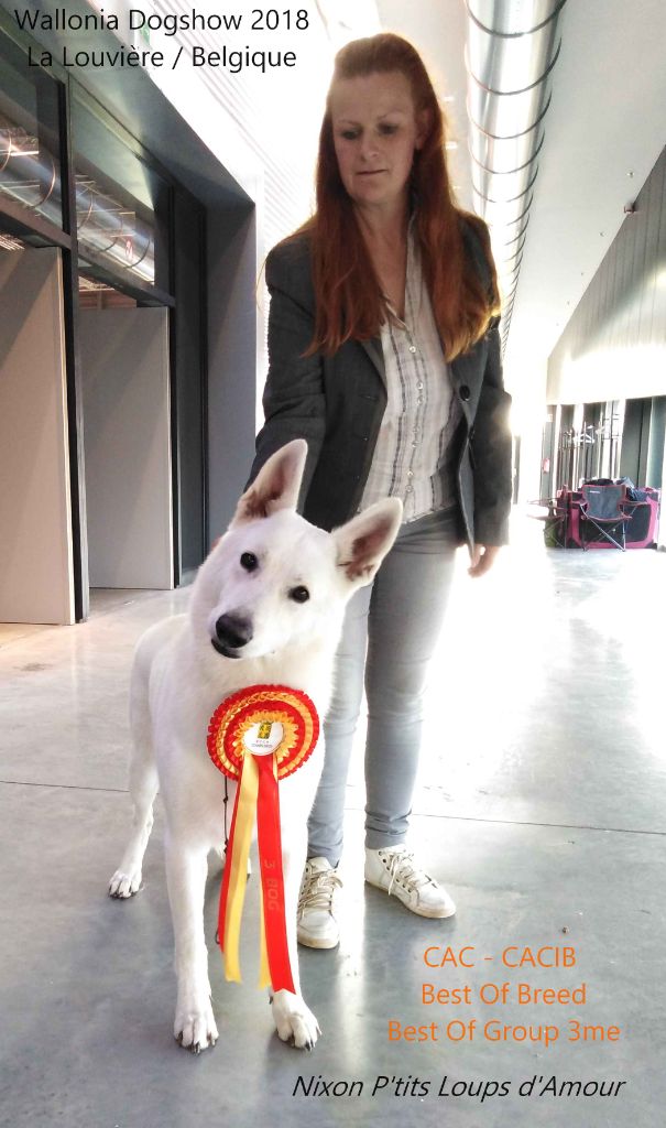 P'tits Loups d'Amour - Wallonia Dog Show 2018