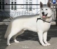 Quito P'tits Loups d'Amour