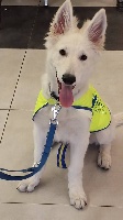Notre Guide Nala P'tits Loups d'Amour